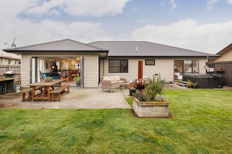 Photo of property in 91 Fraser Drive, Feilding, 4702