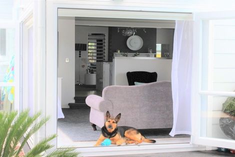 Photo of property in 18 Kenny Street, Waihi, 3610