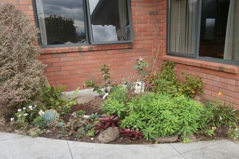 Photo of property in 25 Hamilton Street, Te Aroha, 3320