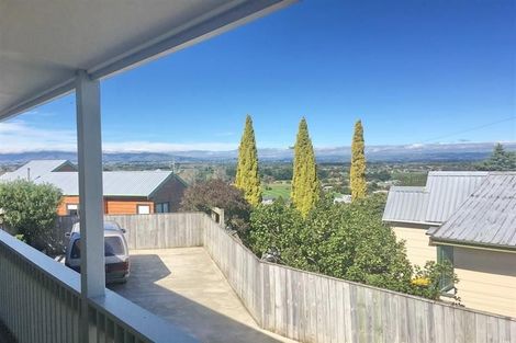 Photo of property in 41 Fraser Drive, Feilding, 4702