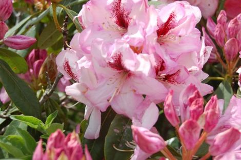 Photo of property in 3/430 Cape Foulwind Road, Carters Beach, Westport, 7892