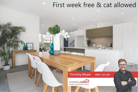 Photo of property in 1 Harewood Street, Whenuapai, Auckland, 0618