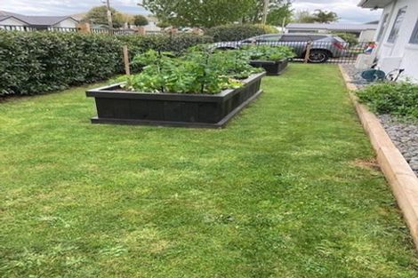 Photo of property in 21 Steele Road, Forest Lake, Hamilton, 3200