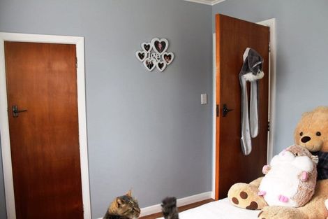 Photo of property in 31 Bear Street, Tirau, 3410