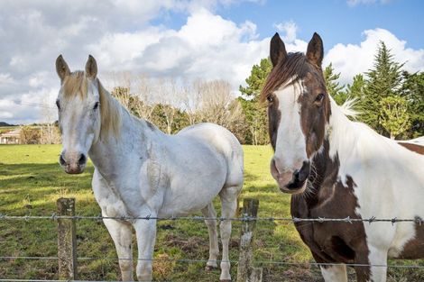 Photo of property in 1723 Cheltenham Hunterville Road, Waituna West, Rewa, 4780