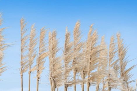 Photo of property in 2265 South Head Road, South Head, Helensville, 0874