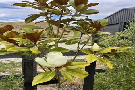 Photo of property in 2500 Tarras-cromwell Road, Tarras, Cromwell, 9383