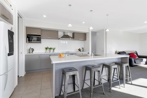 Photo of property in 79 Mandeville Park Drive, Swannanoa, Kaiapoi, 7692