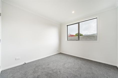 Photo of property in 44b Pine Avenue, Upper Hutt Central, Upper Hutt, 5018
