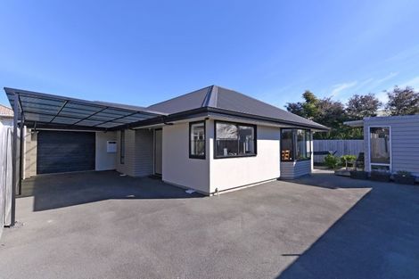 Photo of property in 21a Wilkes Street, Richmond, 7020