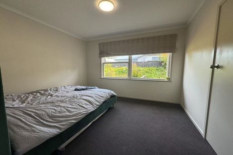 Photo of property in 32 Wymer Terrace, Chartwell, Hamilton, 3210