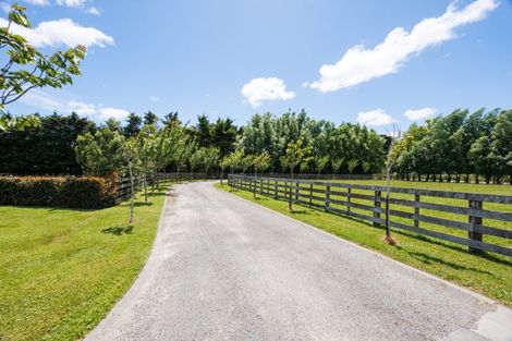 Photo of property in 61 Mount Stewart Halcombe Road, Sanson, Palmerston North, 4479