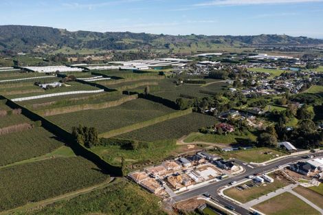 Photo of property in 81 Dunlop Road, Te Puke, 3119