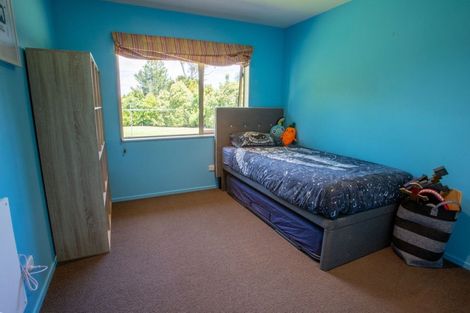 Photo of property in 254a Mangateitei Road, Rangataua, Ohakune, 4691