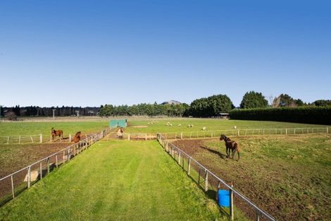 Photo of property in 22 Dukes Road North, Mosgiel, 9092