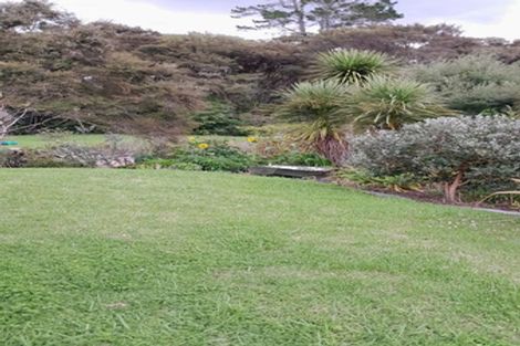 Photo of property in 46 Sherrybrooke Place, Sunnyvale, Auckland, 0612