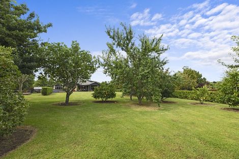 Photo of property in 86 Phillips Drive, Oropi, Tauranga, 3173