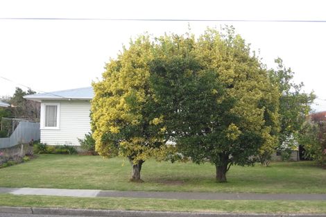 Photo of property in 77 Masefield Avenue, Maraenui, Napier, 4110