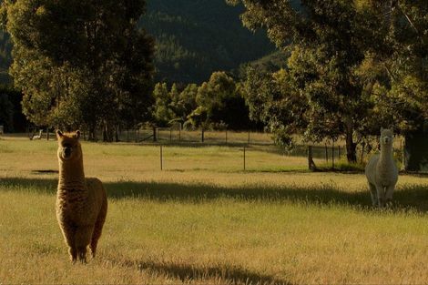 Photo of property in 22 Grayburn Lane, Albert Town, Wanaka, 9382