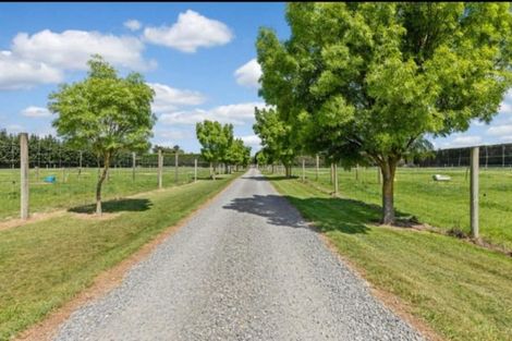 Photo of property in 1217 Hoskyns Road, Kirwee, Christchurch, 7671