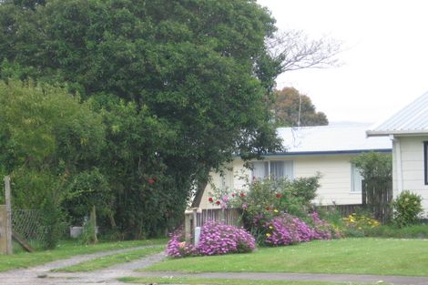 Photo of property in 24 Menzies Place, Paeroa, 3600