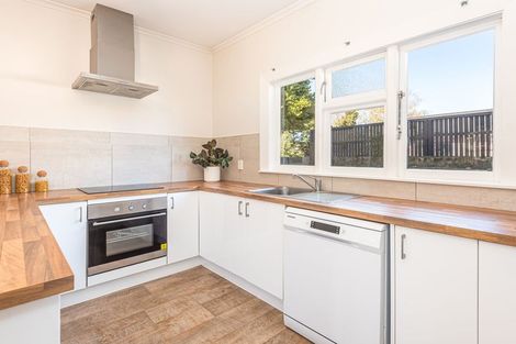 Photo of property in 170 Petrie Street, Richmond, Christchurch, 8013