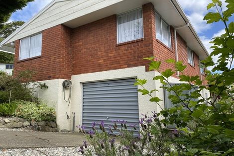 Photo of property in 366 Kaikorai Valley Road, Bradford, Dunedin, 9011