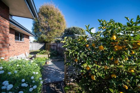 Photo of property in 592b Main Rd Stoke, Stoke, Nelson, 7011