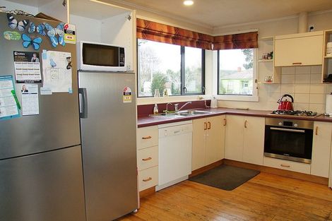 Photo of property in 46 Dryden Street, Milton, 9220