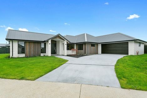 Photo of property in 3 Clements Lane, Cambridge, 3434