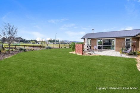 Photo of property in 5 Fantail Avenue, Amberley, 7410
