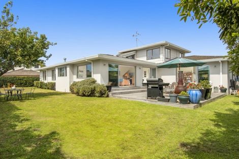Photo of property in 6 Terrace Avenue, Mount Maunganui, 3116