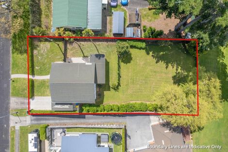 Photo of property in 175 Raeburne Street, Te Awamutu, 3800