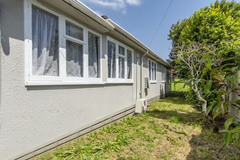 Photo of property in 19 Anzac Road, Gate Pa, Tauranga, 3112