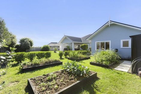 Photo of property in 31 Jarrett Terrace, Leamington, Cambridge, 3432