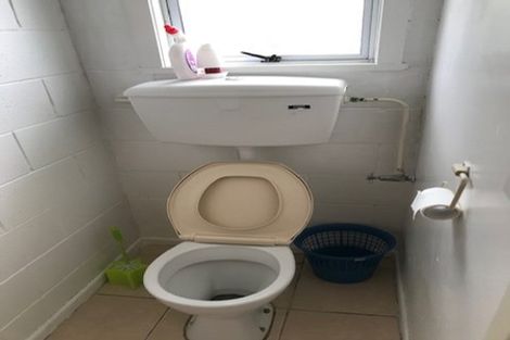 Photo of property in 24 Ireland Road, Mount Wellington, Auckland, 1060