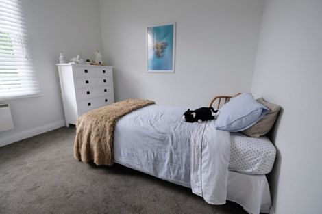 Photo of property in 83 Hawthorn Avenue, Mornington, Dunedin, 9011