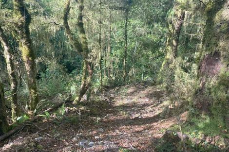 Photo of property in 774 Atarau Road, Atarau, Blackball, 7871