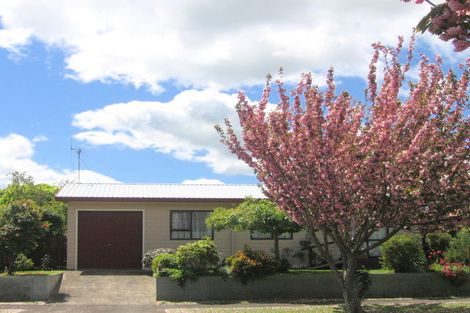 Photo of property in 17 Barnard Street, Matamata, 3400