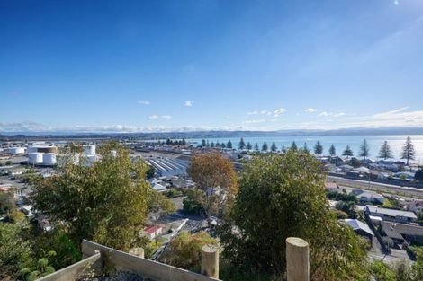 Photo of property in 40a Roslyn Road, Bluff Hill, Napier, 4110