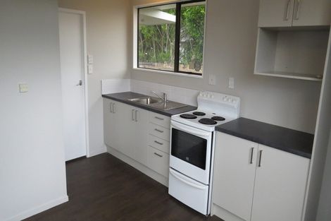 Photo of property in 101a Rimu Street, Maeroa, Hamilton, 3200