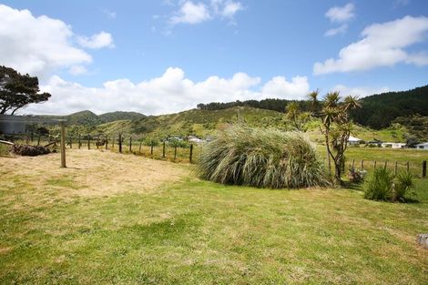 Photo of property in 22 Cordyline Road, Port Waikato, Tuakau, 2695