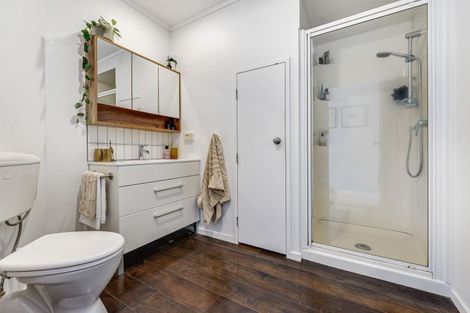 Photo of property in 17b Primrose Street, Frankton, Hamilton, 3204