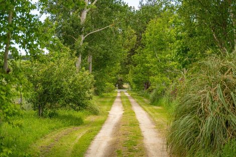 Photo of property in 365 Bluff Rangitumau Road, Rangitumau, Masterton, 5871