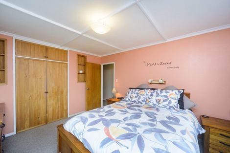 Photo of property in 45 Worcester Street, Ashhurst, 4810