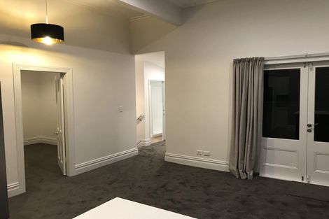 Photo of property in 23 Buchanan Street, Kingsland, Auckland, 1021