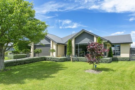 Photo of property in 7 Primrose Place, Allenton, Ashburton, 7700