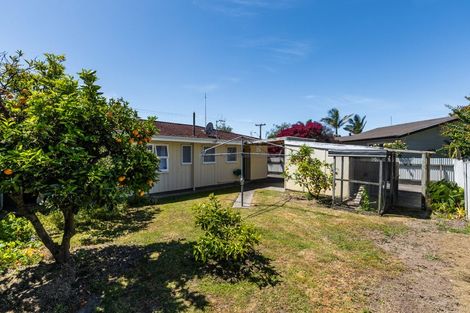 Photo of property in 45 Merton Crescent, Pirimai, Napier, 4112