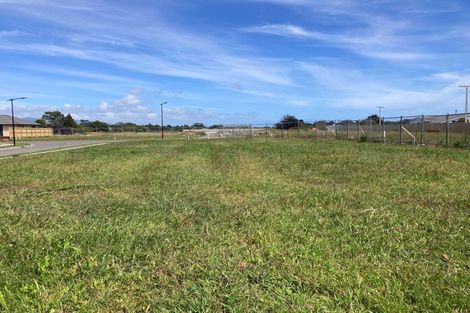 Photo of property in 218 Carrington Street, Vogeltown, 4310