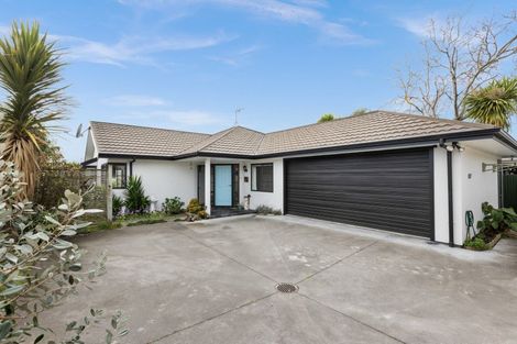 Photo of property in 806a Grove Road, Mayfair, Hastings, 4122